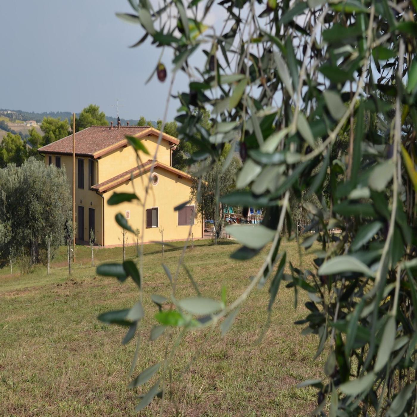 Agriturismo Fontelisa Villa Montiano  Buitenkant foto