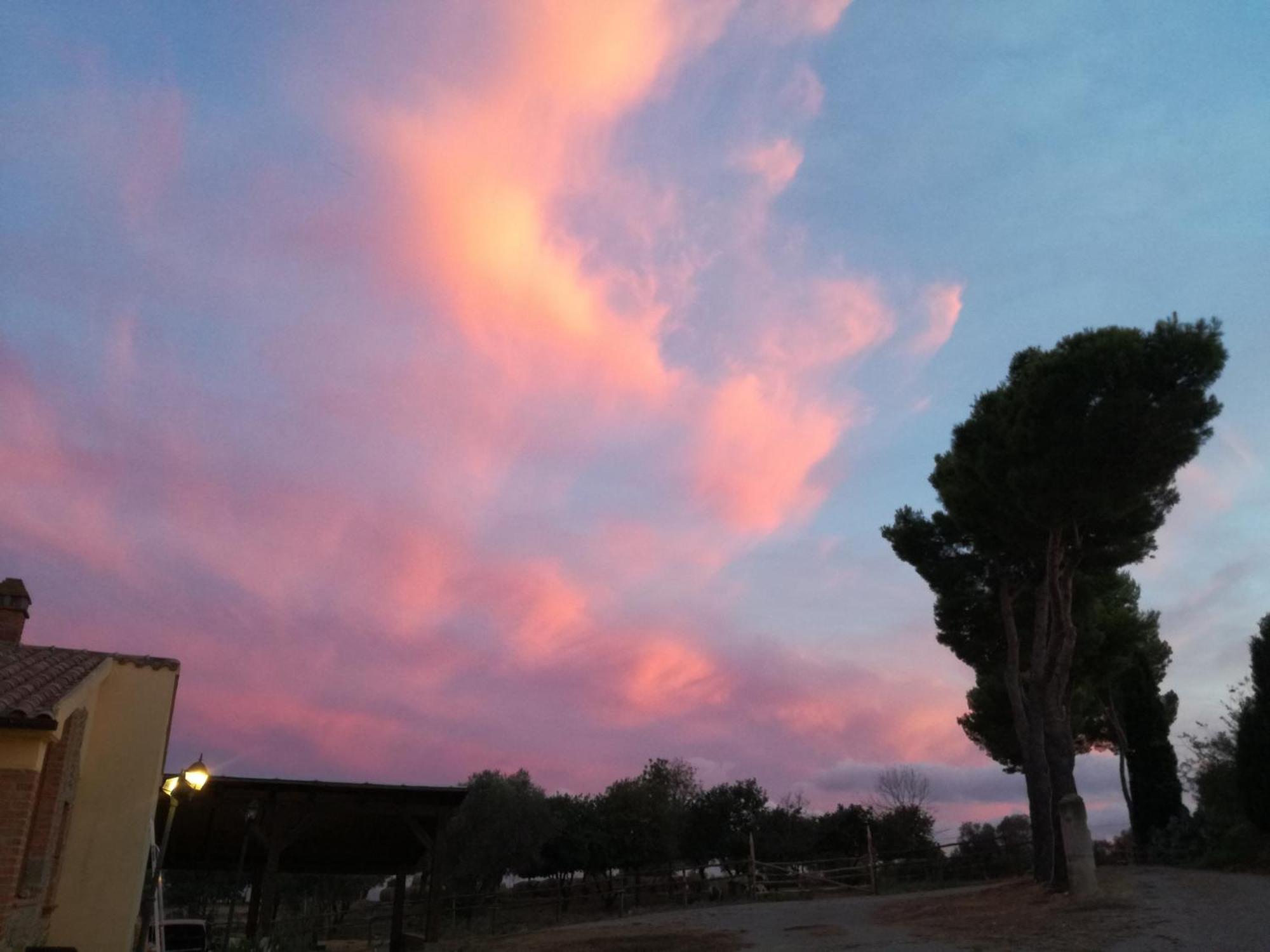 Agriturismo Fontelisa Villa Montiano  Buitenkant foto